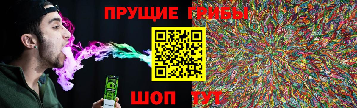 Галлюциногенные грибы Psilocybine cubensis  Вход с VPN  Кимры 